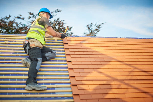 Best Asphalt Shingle Roofing  in St Stephen, SC